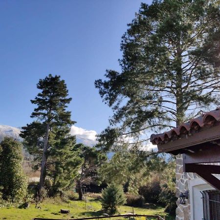 Vila Casa Rural El Pinar Navas de Riofrio Exteriér fotografie