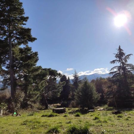 Vila Casa Rural El Pinar Navas de Riofrio Exteriér fotografie
