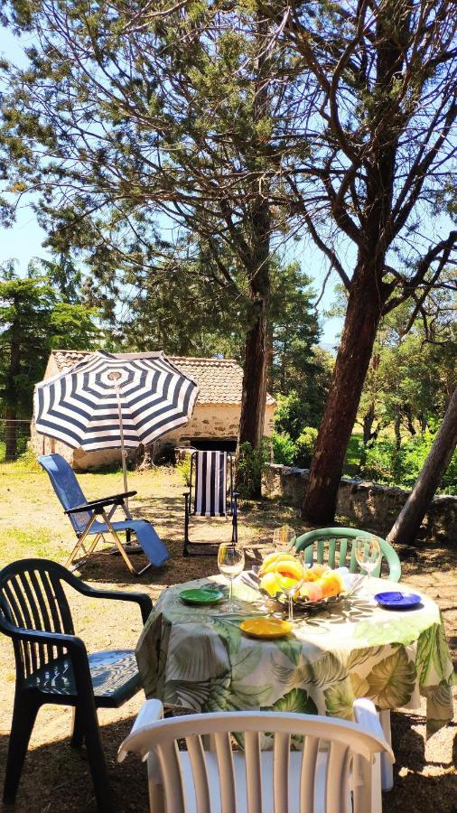 Vila Casa Rural El Pinar Navas de Riofrio Exteriér fotografie